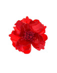 Blumenbrosche Pfingstrose