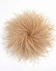 Baesics® Straußenfeder-Brosche & Haarclip in Camel