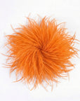 Baesics® Straußenfeder-Brosche & Haarclip in Orange