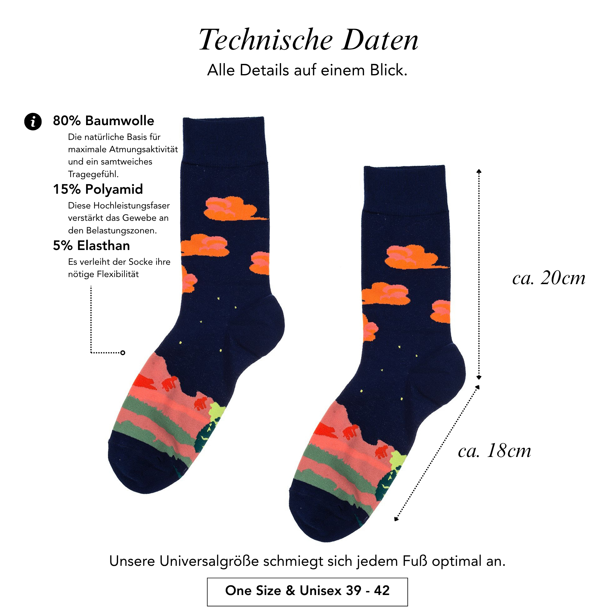 Fancy Socken Wanderlust