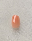 Koralle Square Softgel Press-On Nails