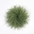 Baesics® Straußenfeder-Brosche & Haarclip in Olive