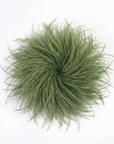 Baesics® Straußenfeder-Brosche & Haarclip in Olive
