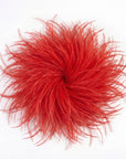 Baesics® Straußenfeder-Brosche & Haarclip in Rot